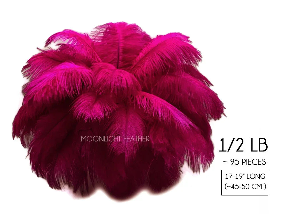 Vibrant magenta ostrich feathers for DIY crafts and fashion decor, 17-19 inches long.