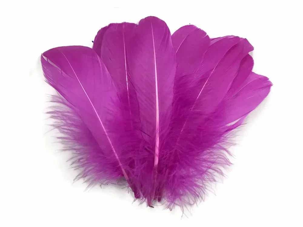 Vibrant magenta pink feathers for DIY crafts and fashion décor on a white background.