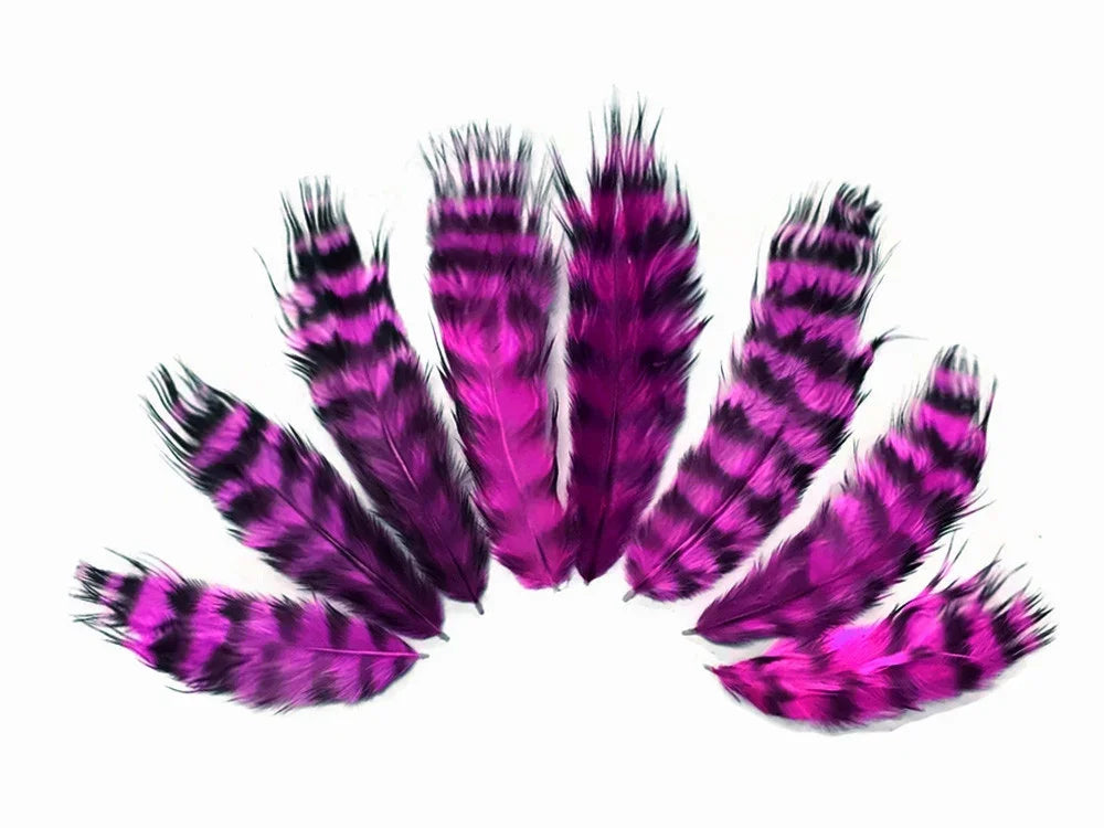 Purple and black striped craft feathers arranged in a semi-circle on a white background