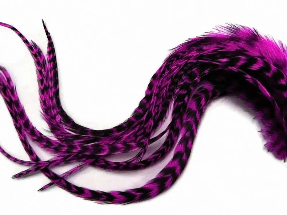 Vibrant purple and black striped feathers for craft and fashion DIY supplies.