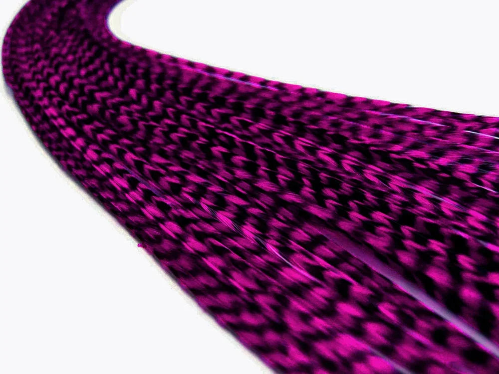 Vibrant magenta and black patterned craft feathers for DIY fashion and decor.