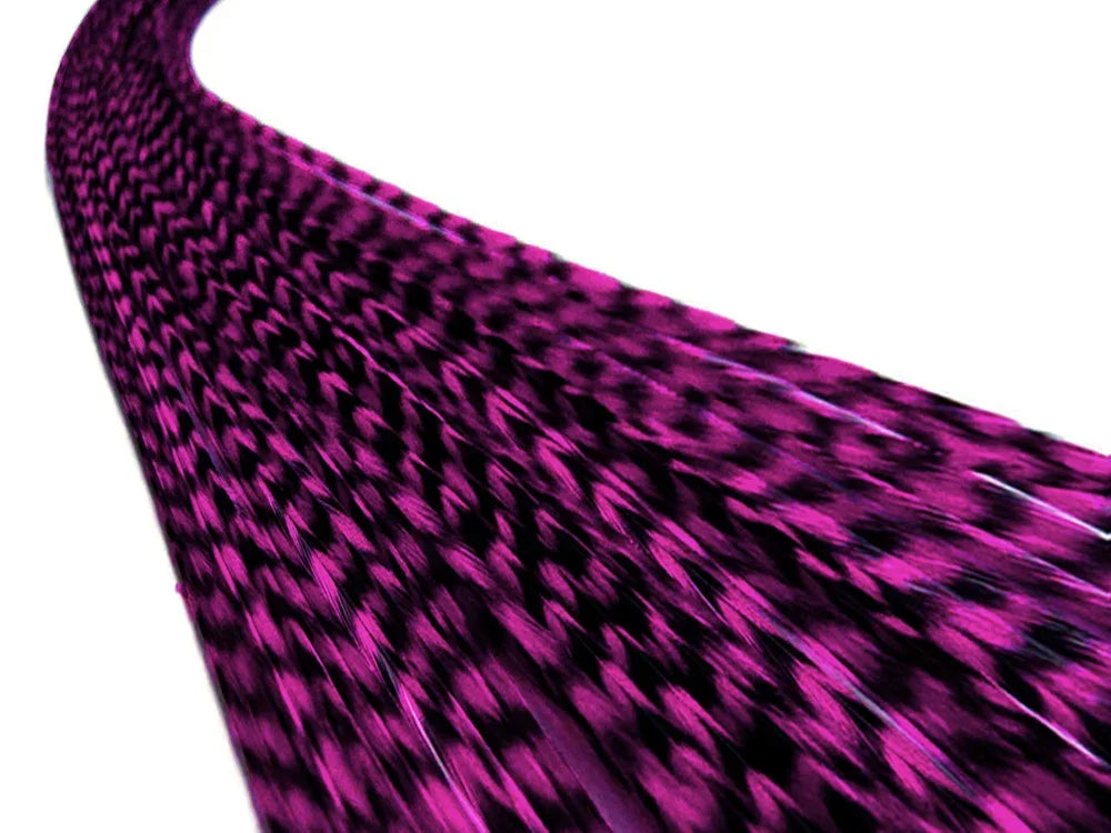 Vibrant magenta and black patterned feather textures for crafts and decor.