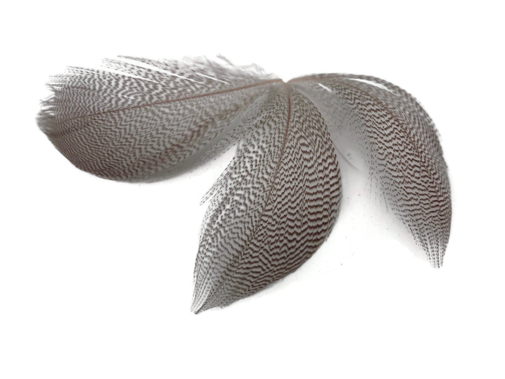 1 Pack - Natural Mallard Duck Flank Plumage Feathers 0.10 Oz.