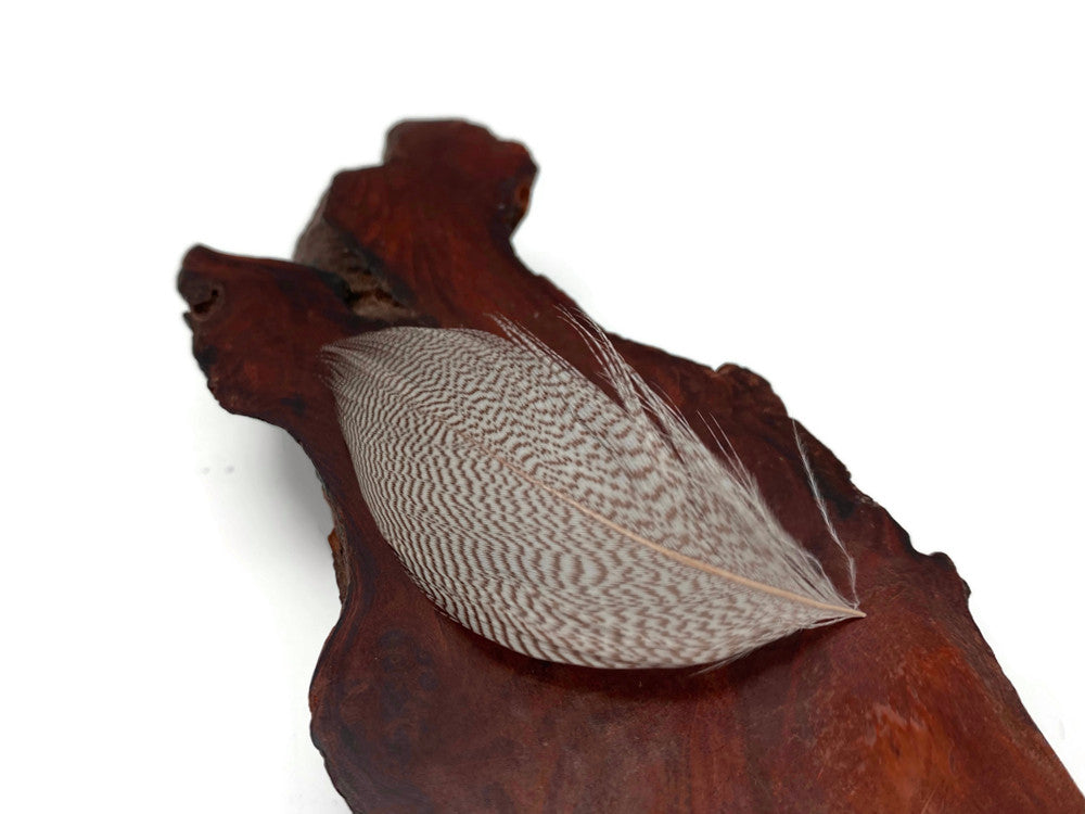 1 Pack - Natural Mallard Duck Flank Plumage Feathers 0.10 Oz.