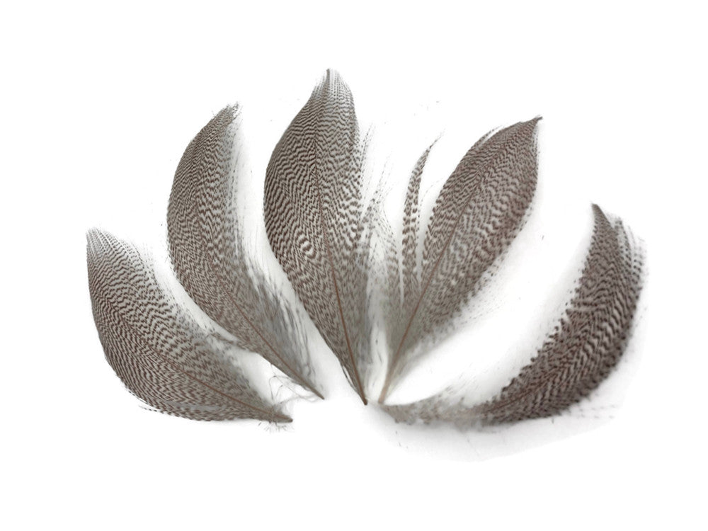 1 Pack - Natural Mallard Duck Flank Plumage Feathers 0.10 Oz.