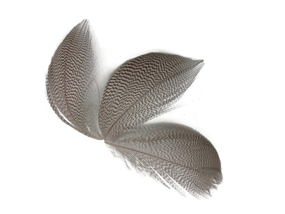 1 Pack - Natural Mallard Duck Flank Plumage Feathers 0.10 Oz.
