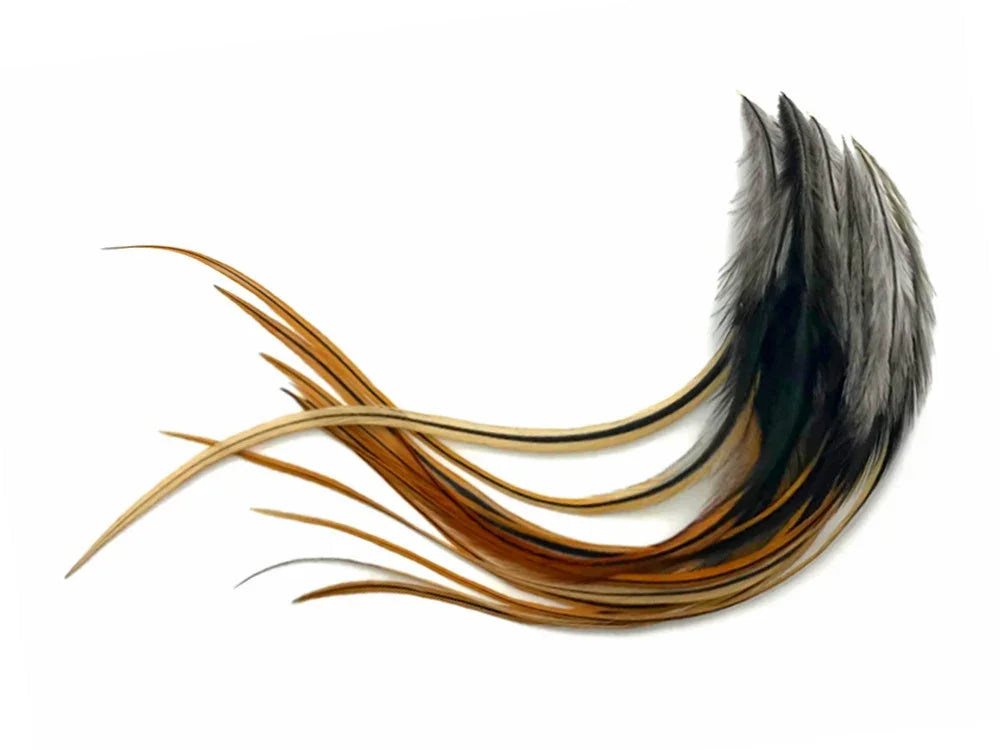 Long flowing black and golden brown feathers for craft and fashion DIY supplies.