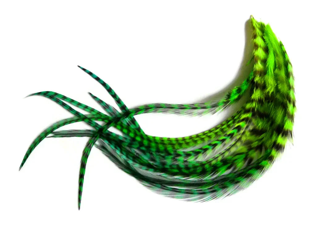 Vibrant green and black patterned feathers for DIY crafts and fashion decor.