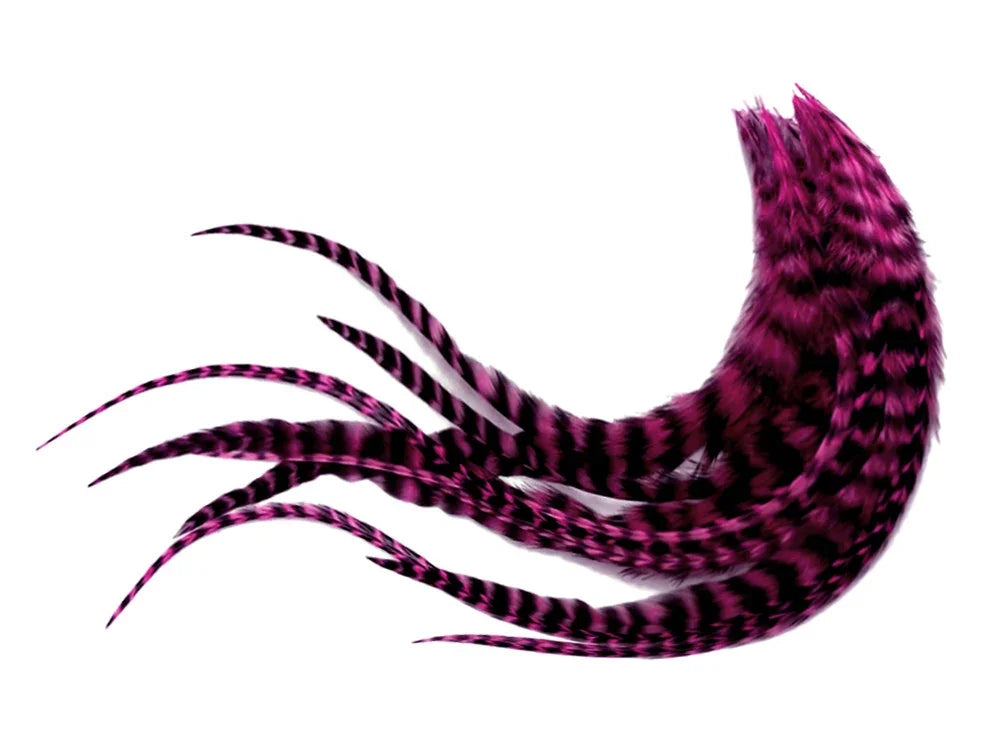 Vibrant pink and black striped decorative feathers for crafts and fashion DIY projects.