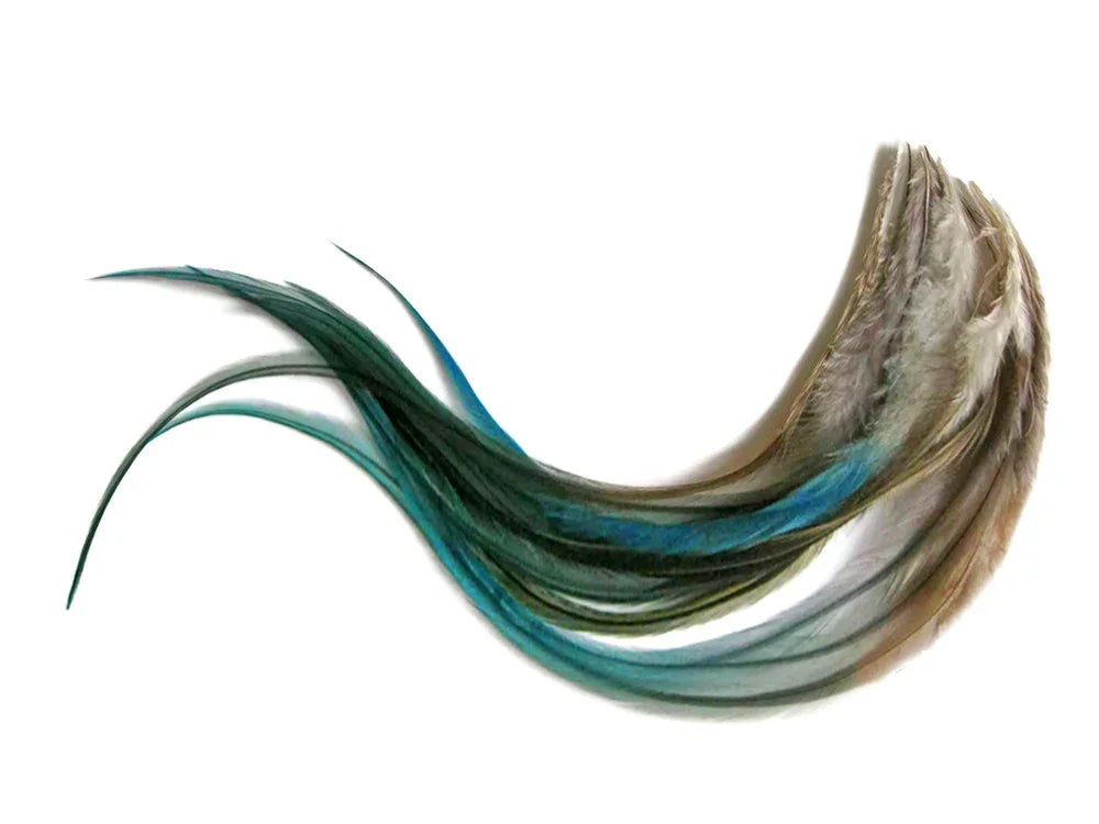 Elegant iridescent blue and brown peacock feathers for DIY crafts and fashion decor.