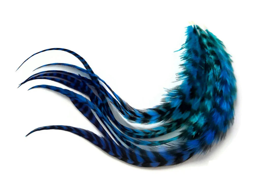 Vibrant blue and black patterned feathers for DIY crafts and fashion accessories.