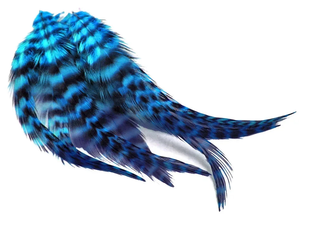 Vibrant blue and black patterned feathers for DIY crafts and fashion accessories.