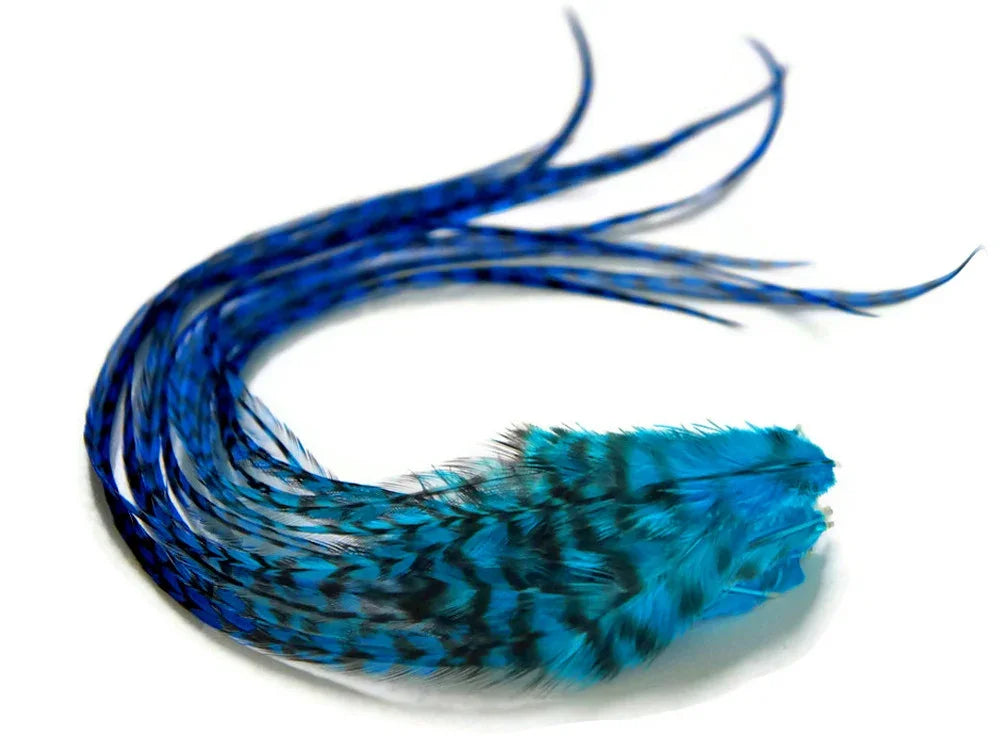 Vibrant blue patterned feathers for DIY crafts and fashion accessories.