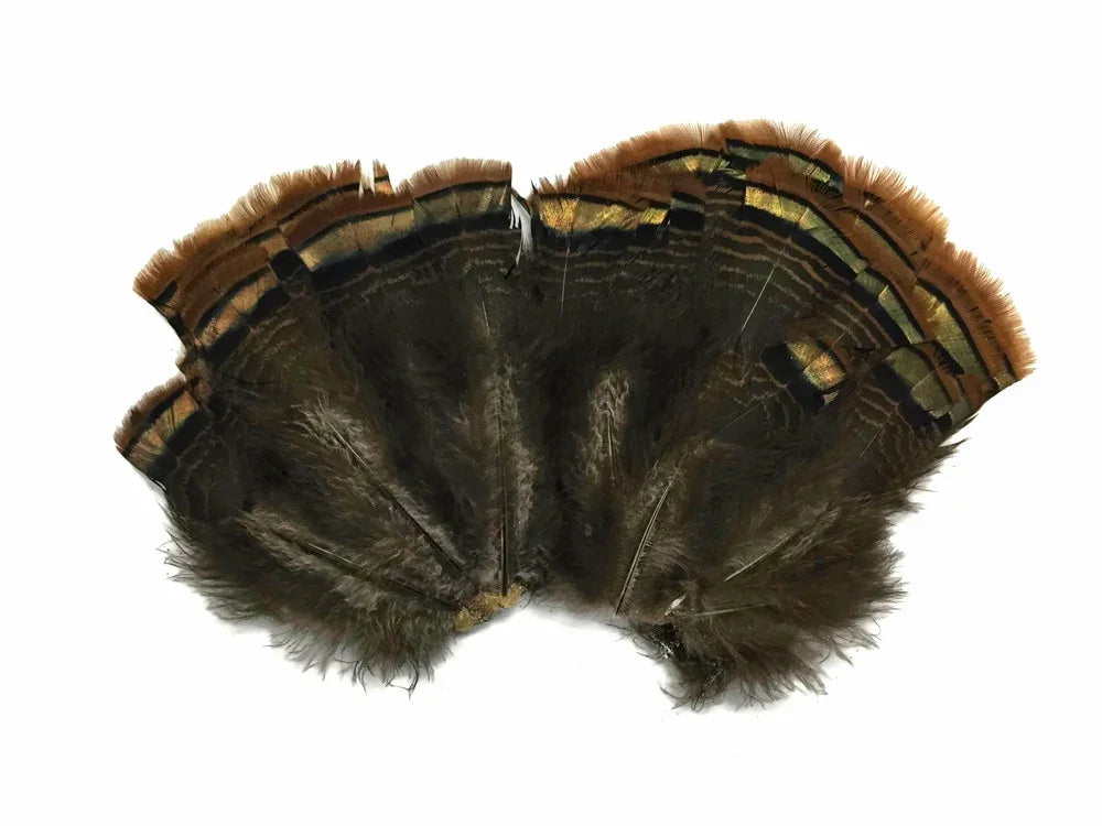 Natural brown and gold patterned feathers for DIY crafts and fashion decor.