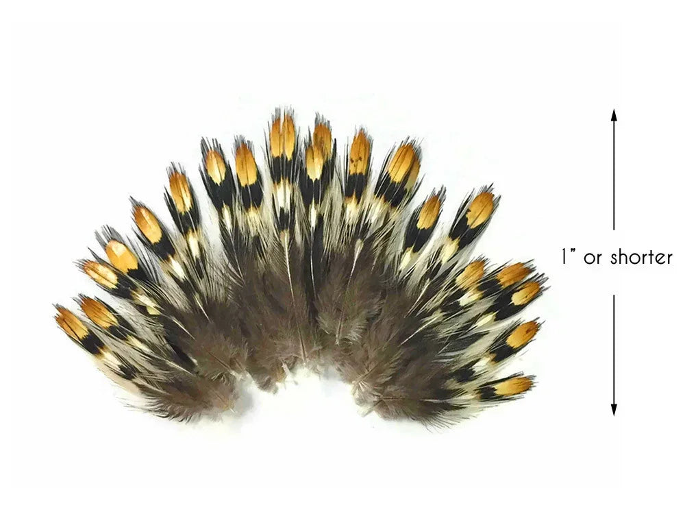 Small decorative brown and gold patterned feathers, 1 inch or shorter for crafts.