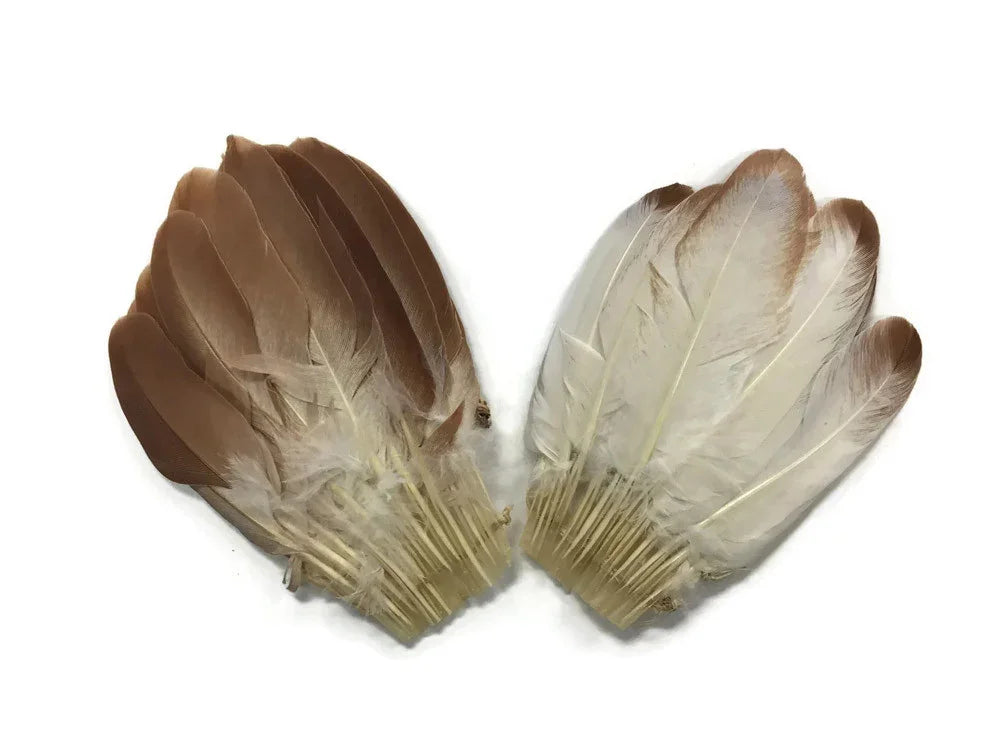 Natural brown and white decorative feathers for DIY crafts and fashion accessories.