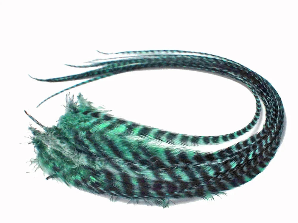 Teal and black striped decorative feathers for DIY crafts and fashion accessories.