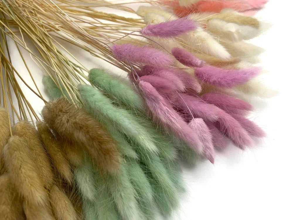 Colorful dried bunny tail grass in pink, green, brown, and cream for DIY crafts and decor.