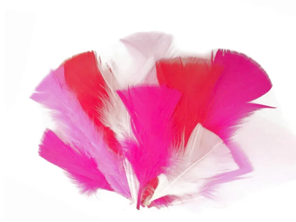 Vibrant pink and red dyed craft feathers for DIY fashion and decor projects.