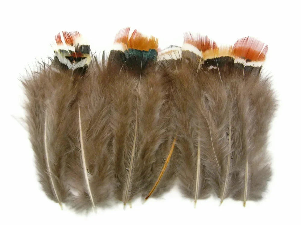 Natural brown feathers with colorful orange and teal tips for DIY crafts and fashion decor.