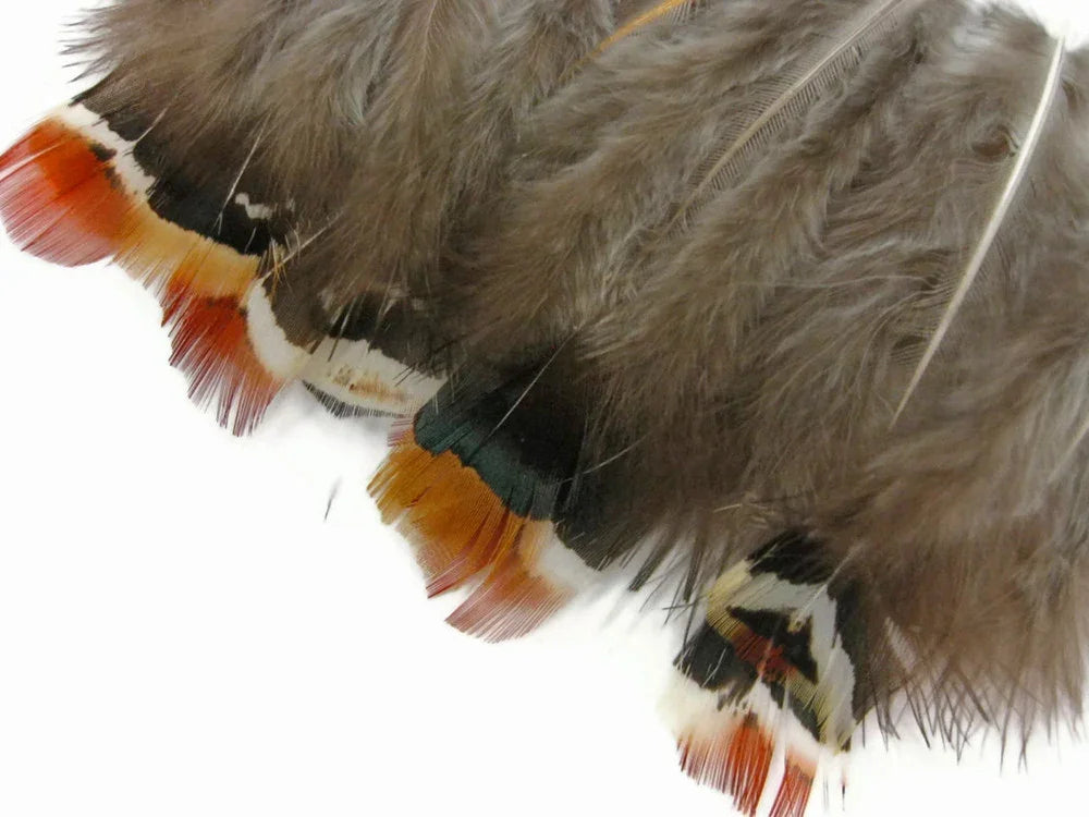 Brown decorative feathers with orange, black, and white tipped accents for DIY crafts.