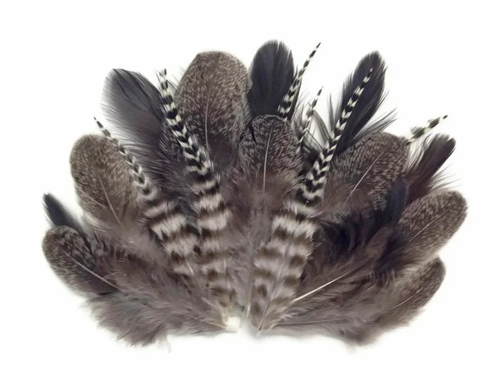 Natural brown and white patterned feathers for DIY crafts and fashion decor.