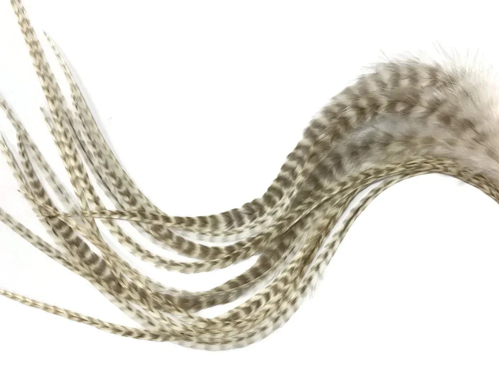 Natural striped pattern feathers for DIY crafts and fashion accessories.