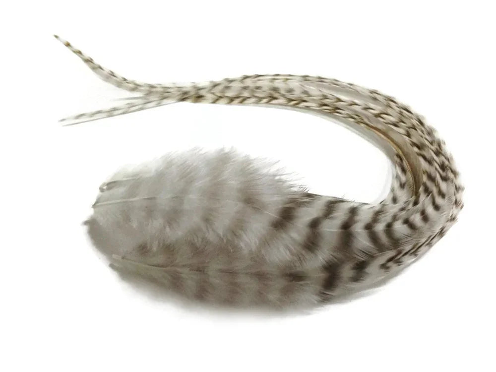 Striped brown and white patterned feathers for DIY crafts and fashion décor.