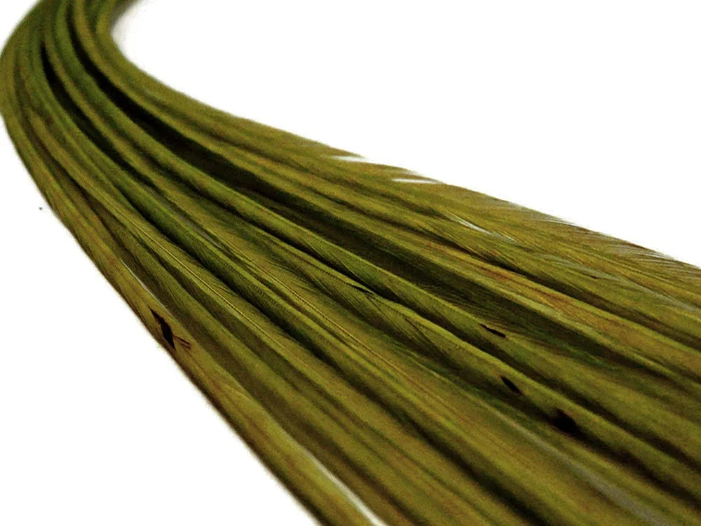 Long olive green natural feathers for DIY crafts and fashion accessories.