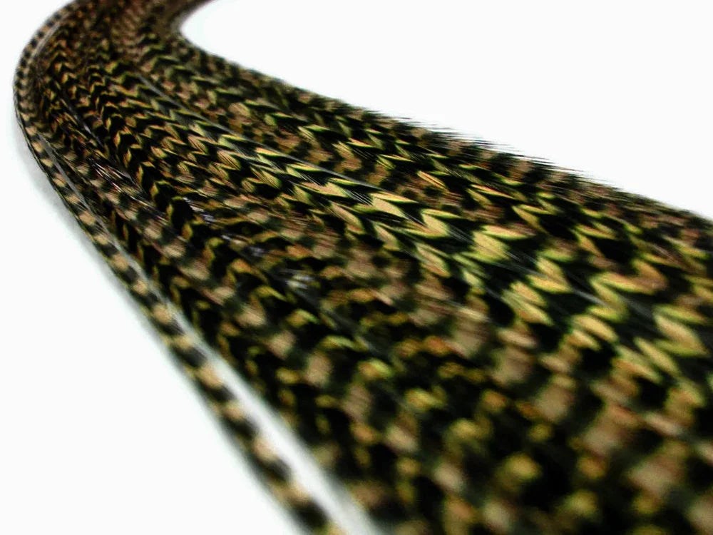 Natural patterned brown and black feathers for craft and fashion DIY supplies.