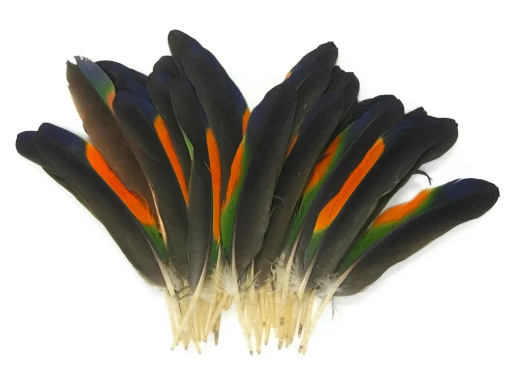 Vibrant black feathers with orange and green accents for DIY crafts and fashion decor.