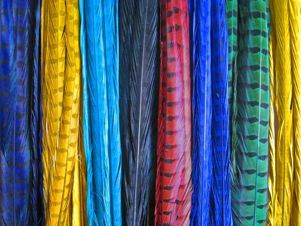 10 Pieces - 18-22" Black Bleached and Dyed Long Ringneck Pheasant Tail Feathers