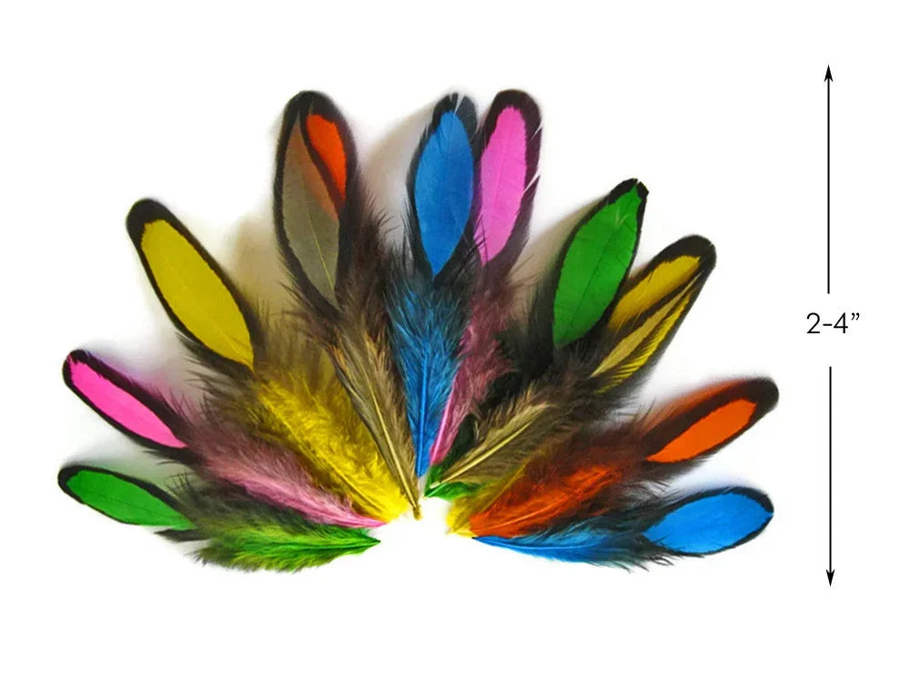 Assorted colorful craft feathers in vibrant pink, blue, yellow, and orange, 2-4 inches long.