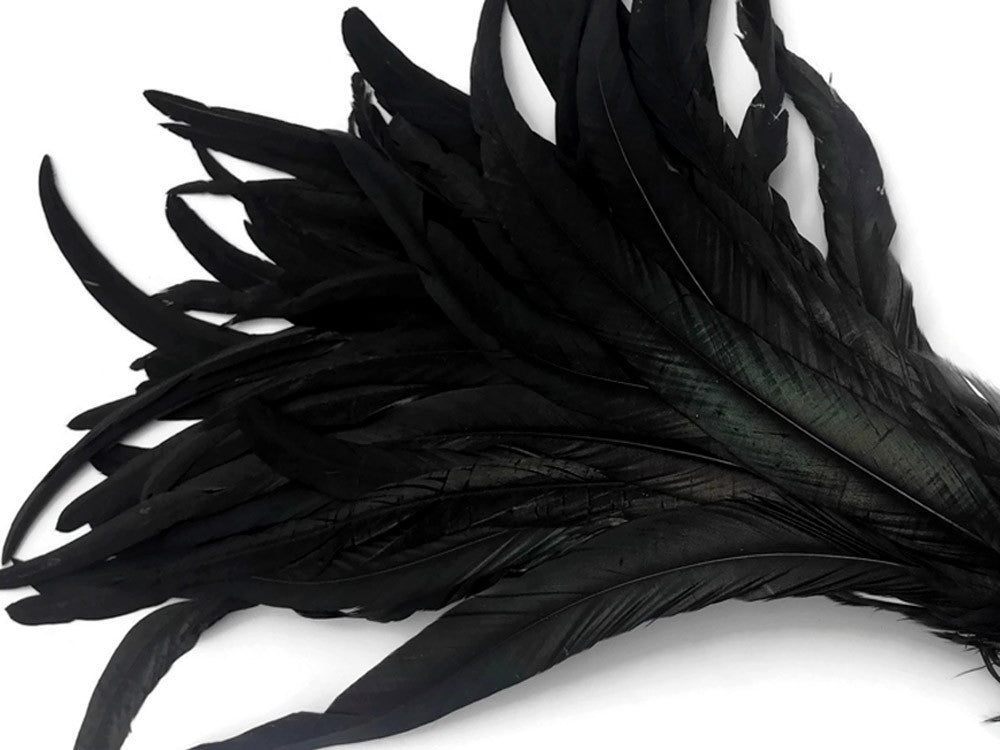 10 Pieces - 16-18" Natural Black Half Bronze Coque Tail Strung Feathers
