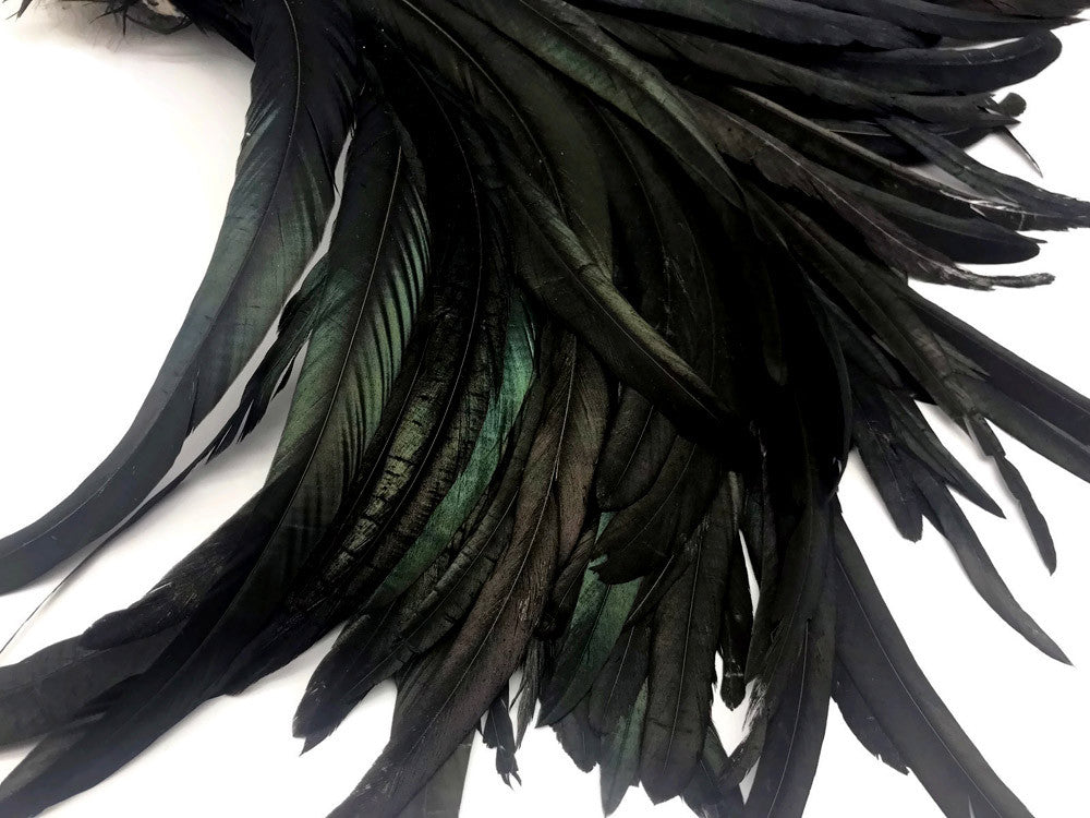 10 Pieces - 16-18" Natural Black Half Bronze Coque Tail Strung Feathers