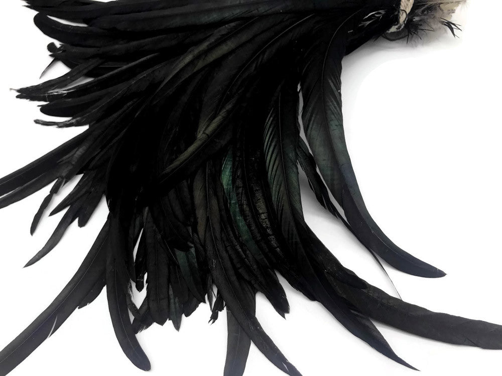 10 Pieces - 16-18" Natural Black Half Bronze Coque Tail Strung Feathers