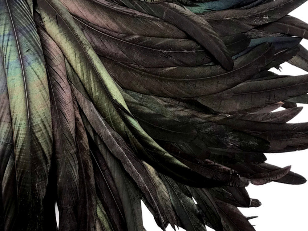 2.5 Inch Strip - Natural Black Half Bronze Coque Tail Strung Rooster Feathers