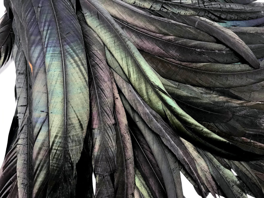 10 Pieces - 16-18" Natural Black Half Bronze Coque Tail Strung Feathers