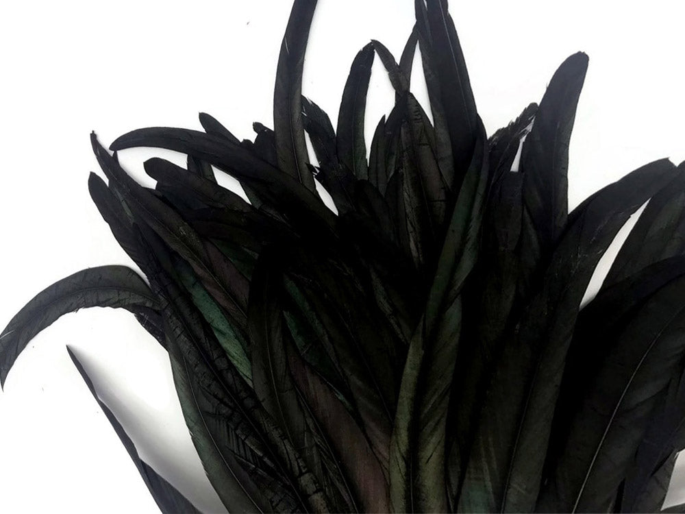 1/8 Lb. - 16-18" Natural Black Half Bronze Coque Tail Strung Wholesale Feathers (Bulk)