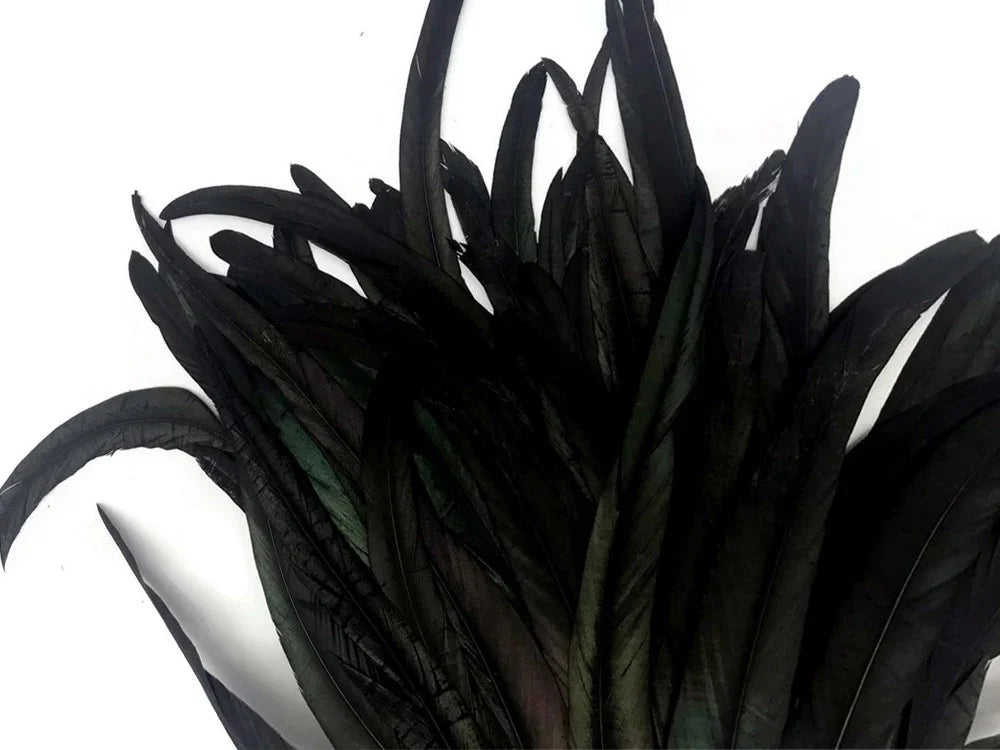 1/8 Lb. - 16-18" Natural Black Half Bronze Coque Tail Strung Wholesale Feathers (Bulk)