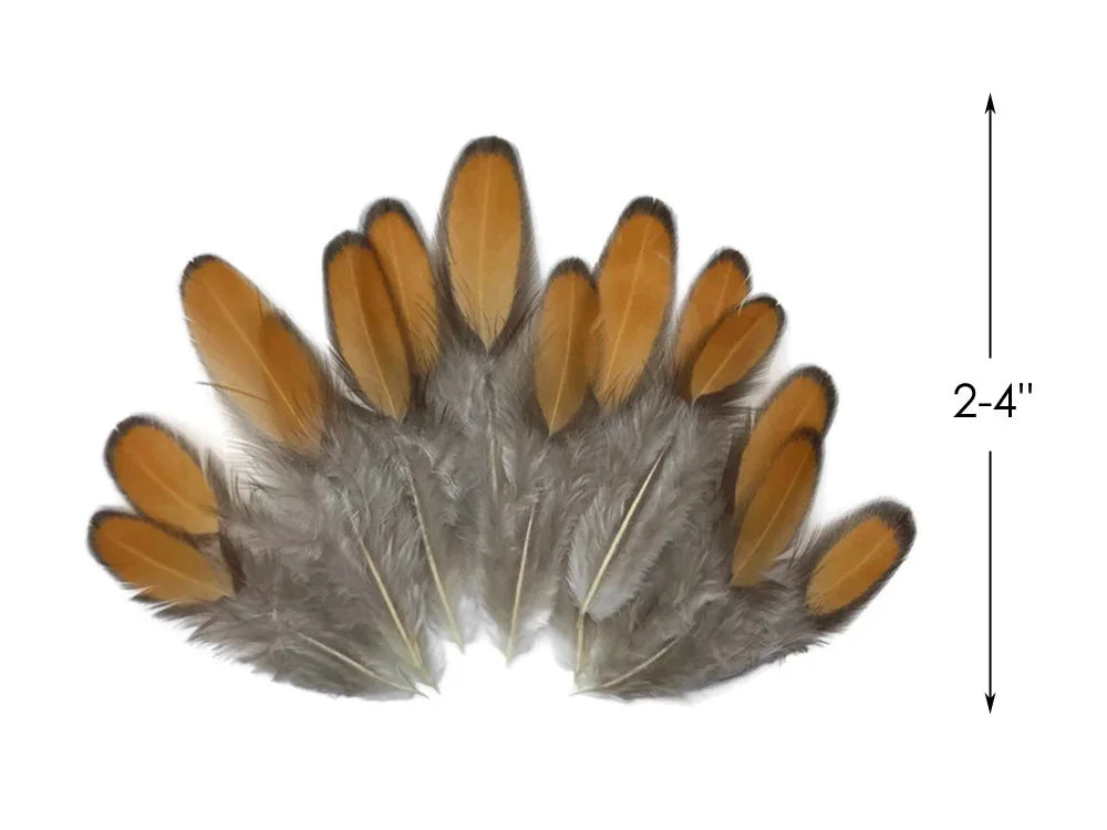 Natural brown and grey feathers for DIY crafts and fashion decor, 2-4 inches in length.