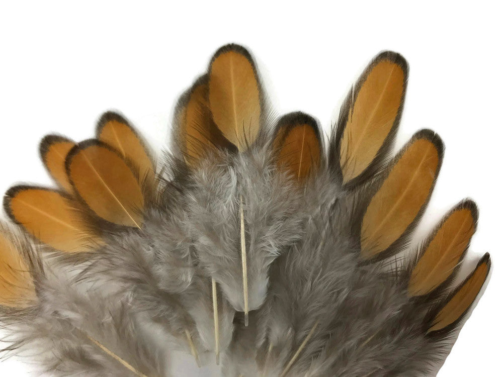 1 Dozen - Golden Brown Whiting Farms Laced Hen Saddle Feathers