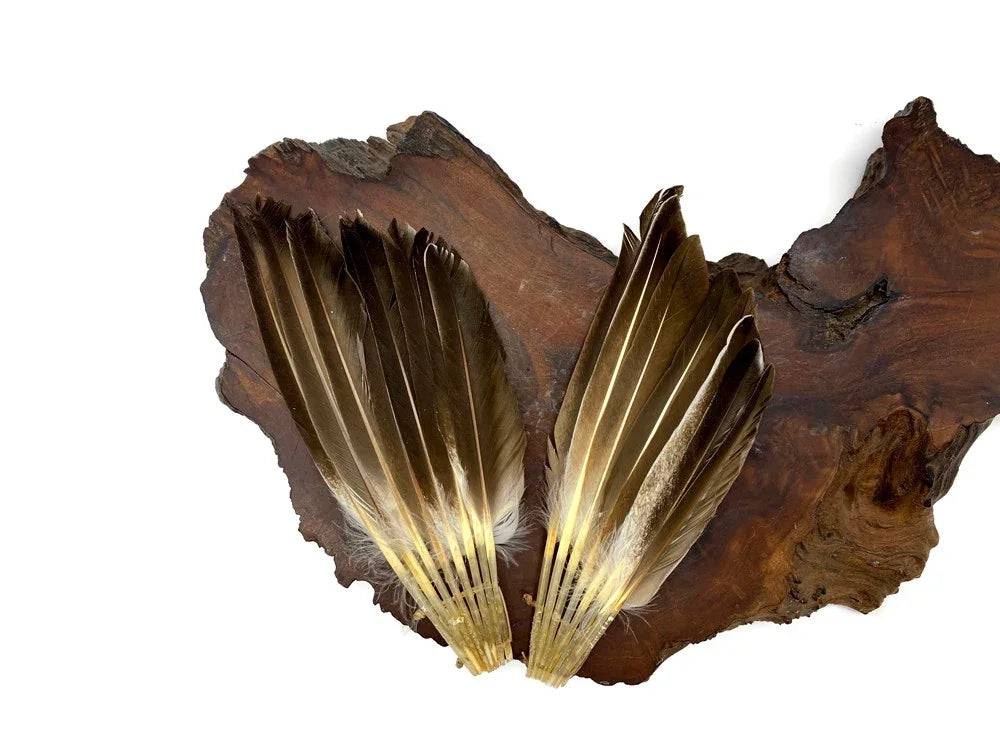 Two large brown and white natural feathers resting on a dark rustic wood slice.