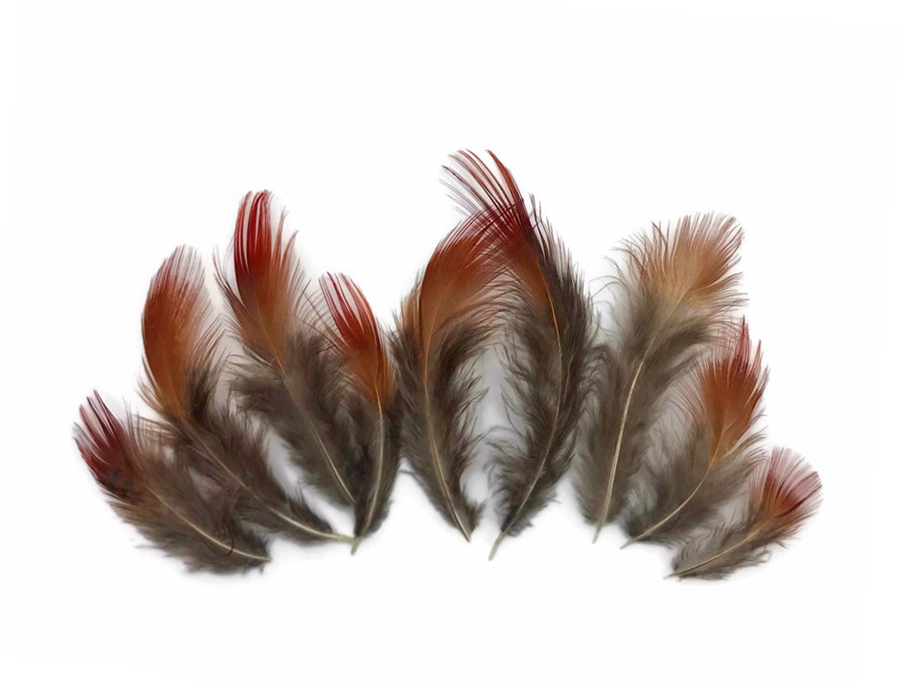 1 Pack - Natural Red Golden Pheasant Plumage Loose Feather 0.10 Oz.