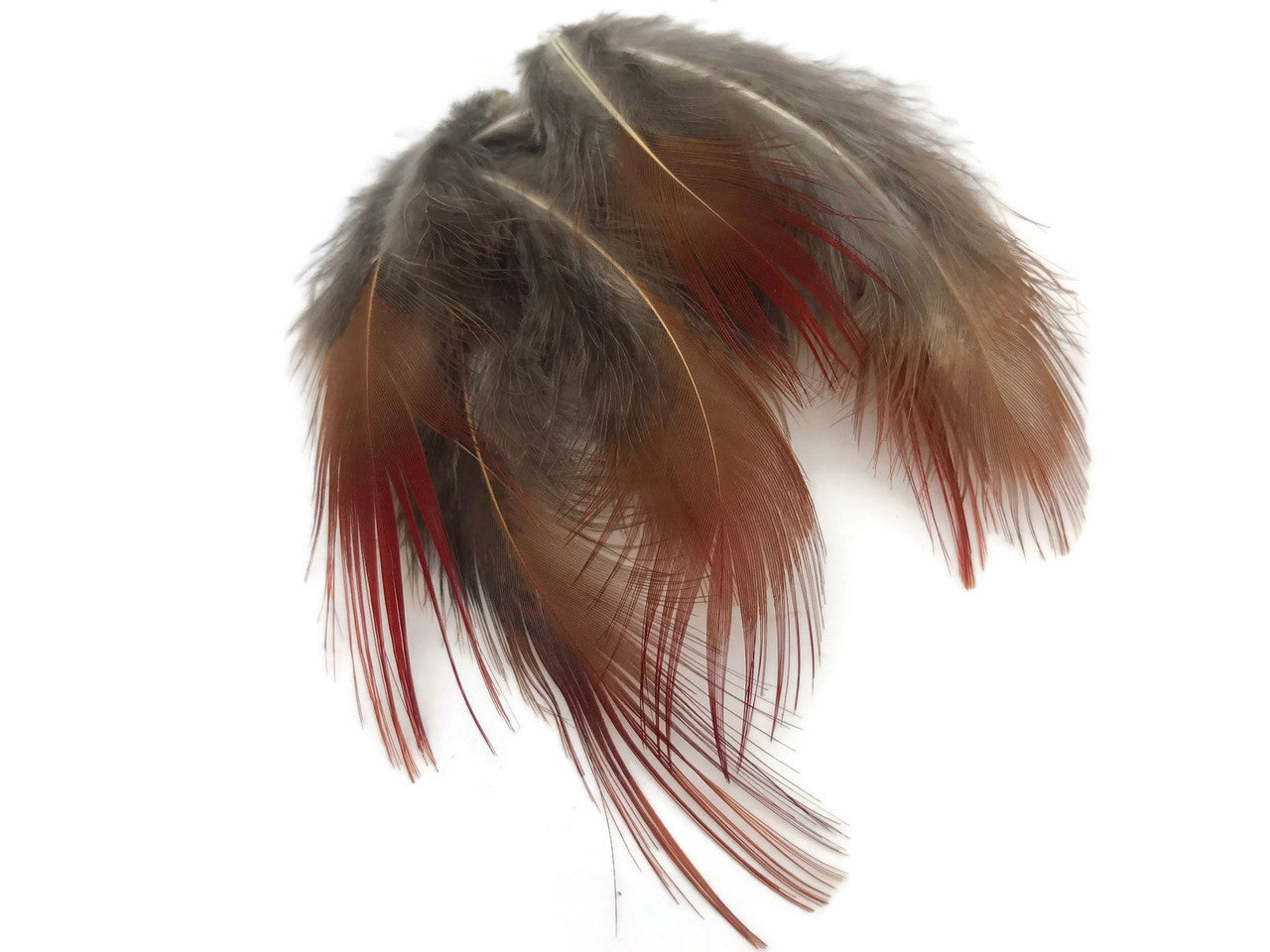 1 Pack - Natural Red Golden Pheasant Plumage Loose Feather 0.10 Oz.