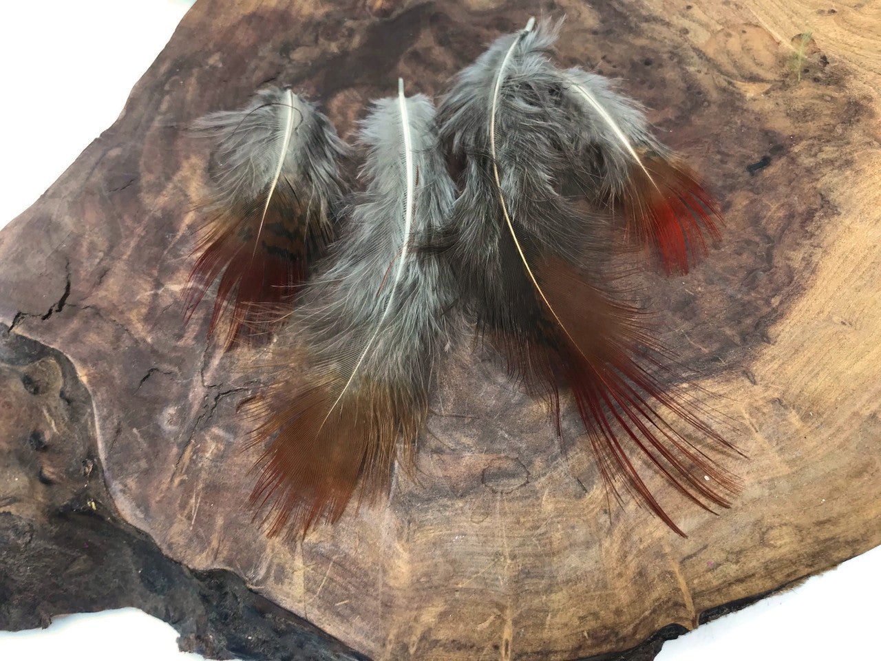 1 Pack - Natural Red Golden Pheasant Plumage Loose Feather 0.10 Oz.