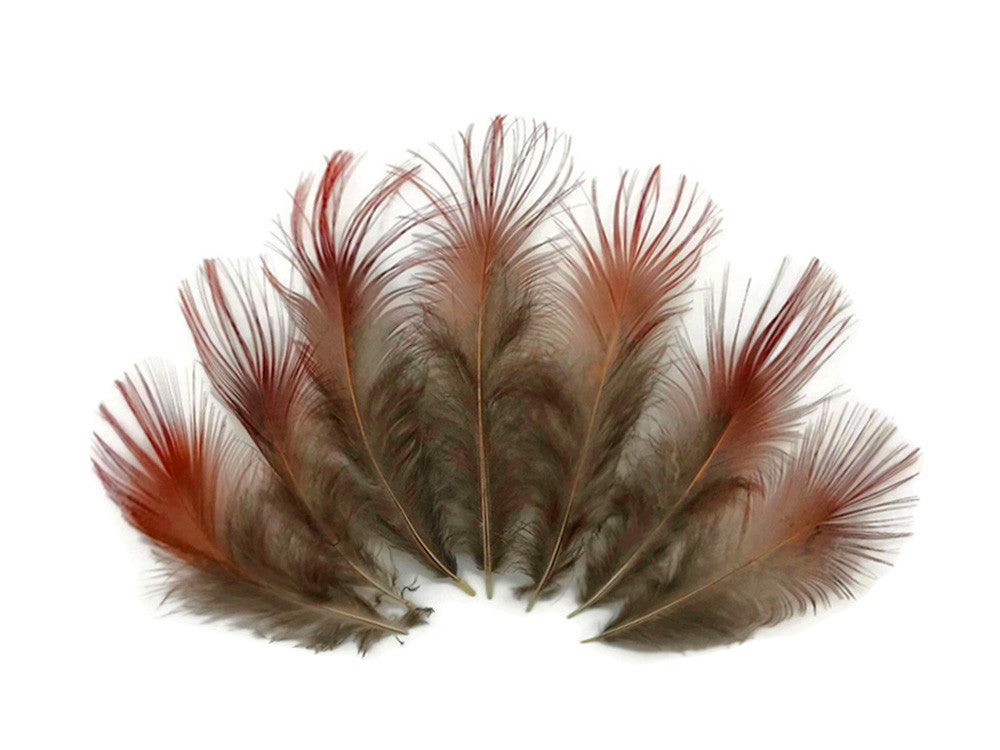 1 Pack - Natural Red Golden Pheasant Plumage Loose Feather 0.10 Oz.