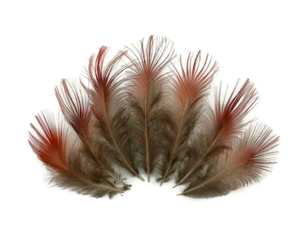 Natural reddish-brown feathers arranged in a fan shape for DIY crafts and fashion decor.