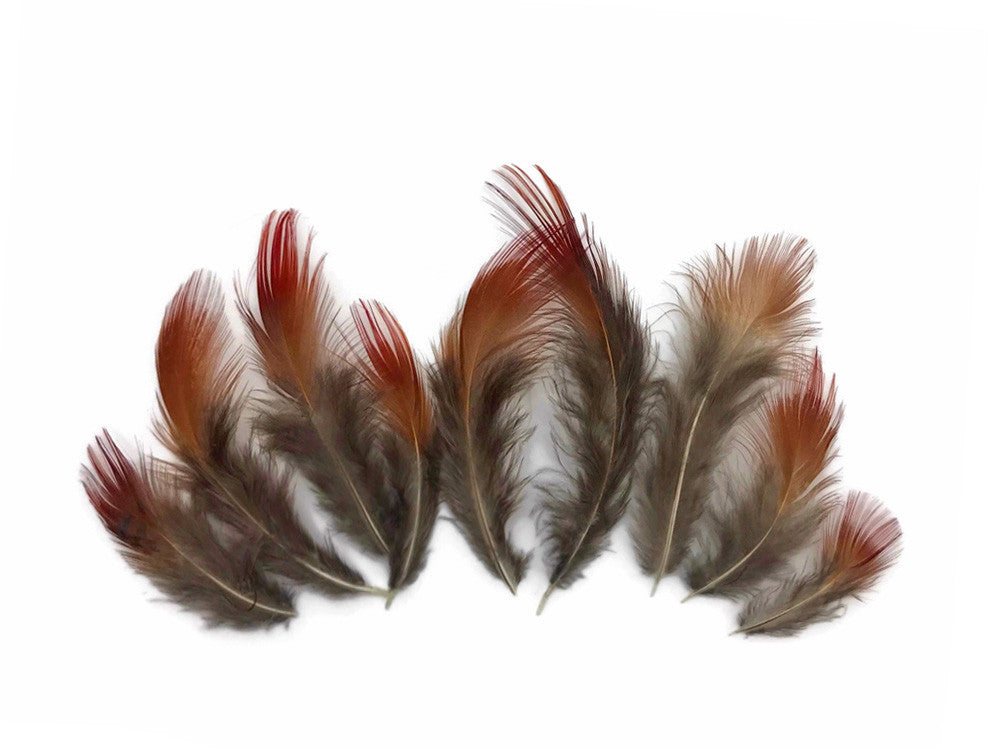 1 Pack - Natural Red Golden Pheasant Plumage Loose Feather 0.10 Oz.