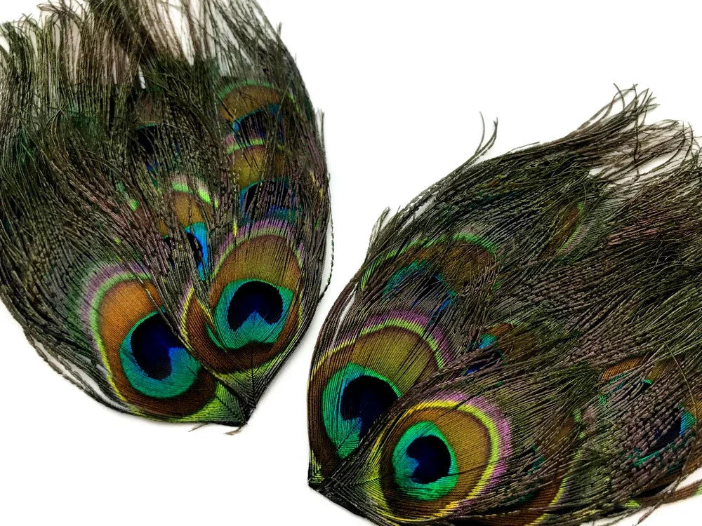 Pair of iridescent peacock feathers with vibrant blue and green eyes for crafts and décor.